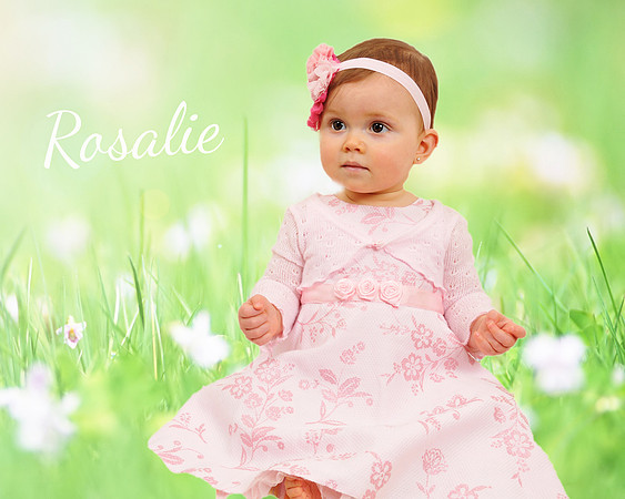 DSC_6967 rosalie